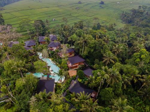 luxury hotels in Payangan