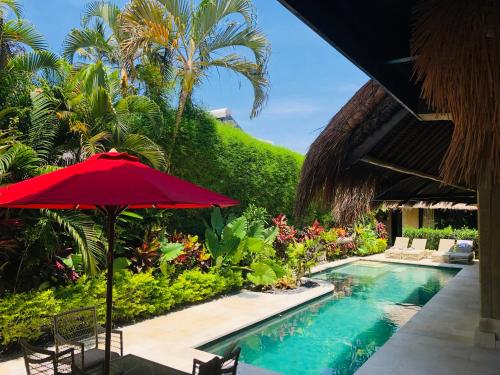 luxury hotels in Bali