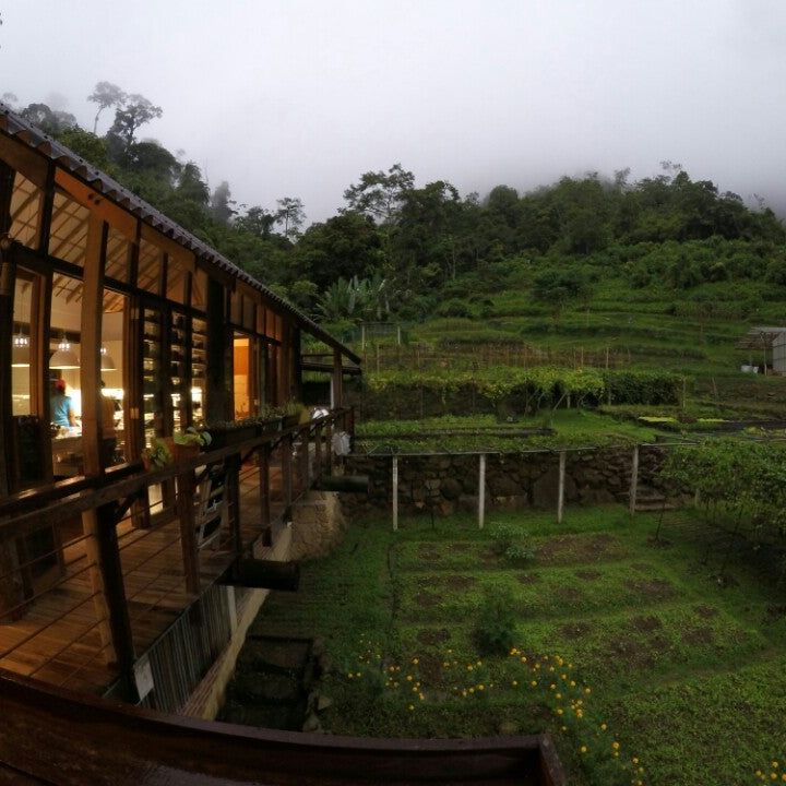 
A Little Farm on the Hill
 in Pahang