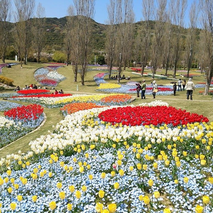 
Akashi Kaikyo National Government Park (淡路島 国営明石海峡公園)
 in Hyogo