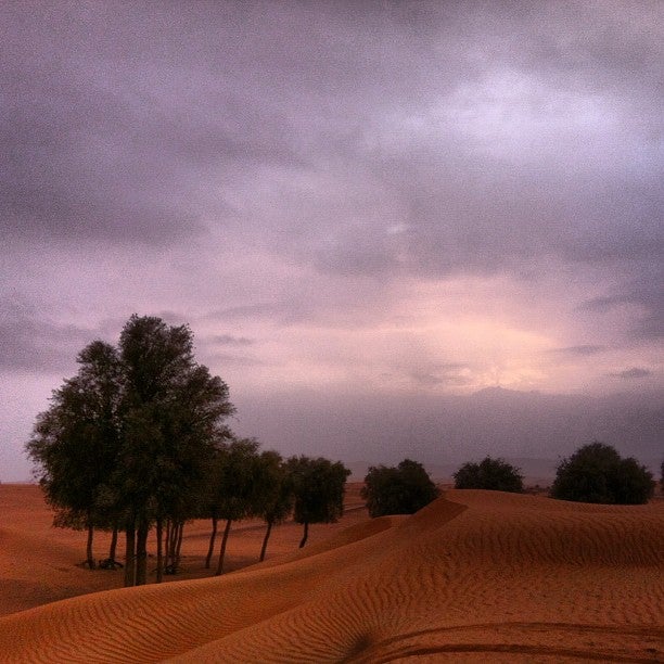 
Al Faya Desert (بر الفايه)
 in Sharjah