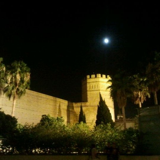 
Alameda Vieja
 in Jerez De La Frontera