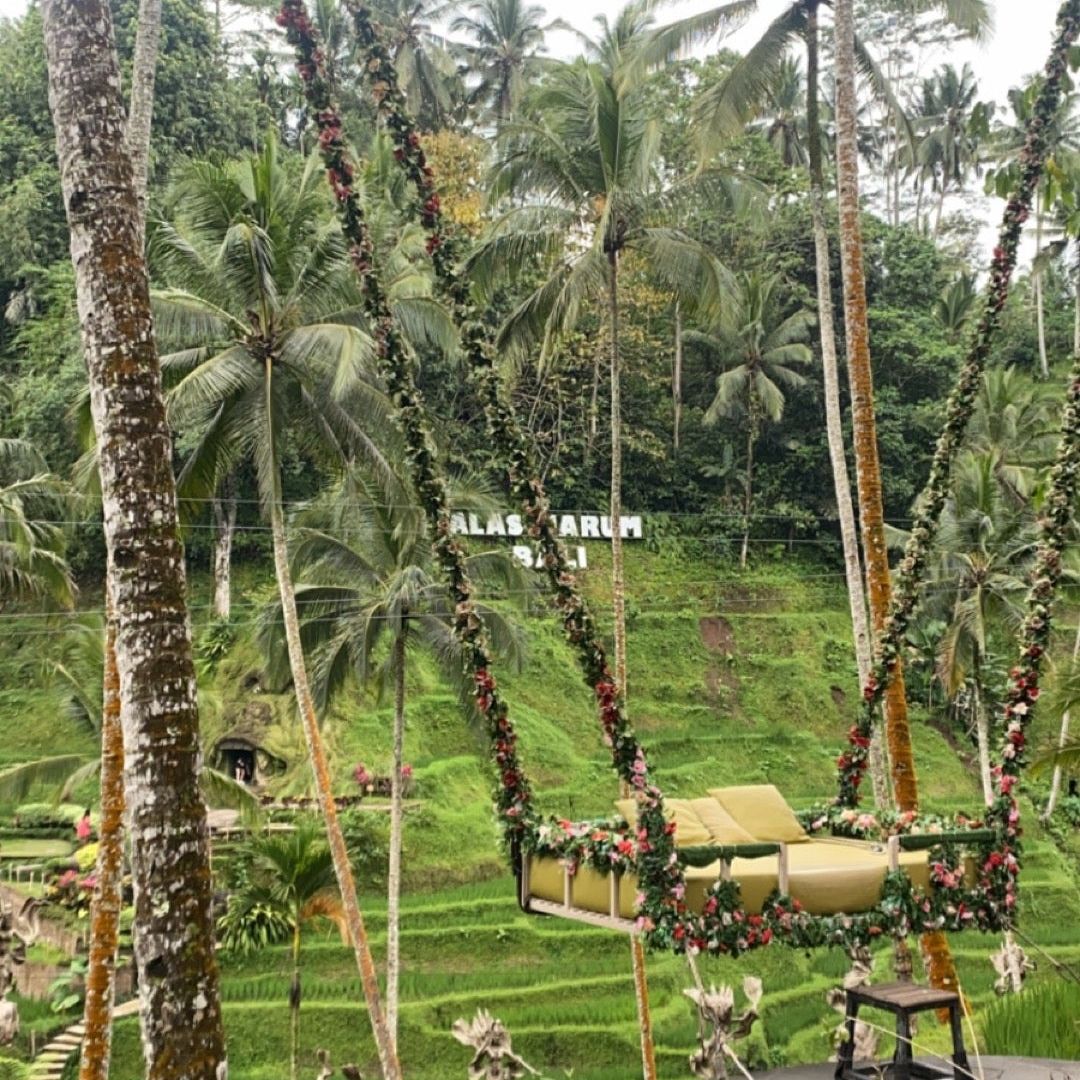 
Alas Harum Agroo Coffee Plantation
 in Tegalalang