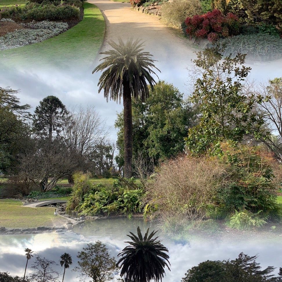 
Albury Botanical Gardens
 in Murray River