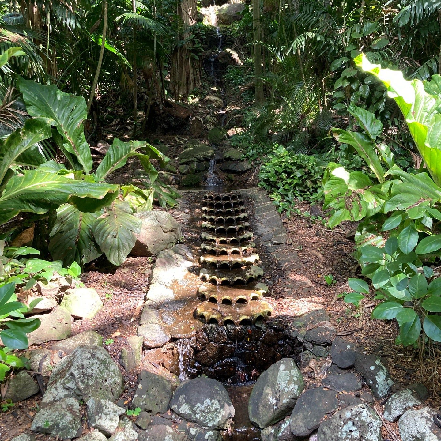 
Allerton Botanical Garden
 in Koloa