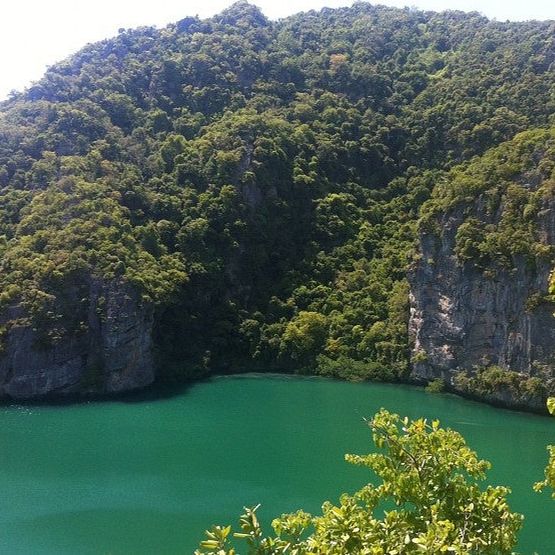 
Angthong National Marine Park (อุทยานแห่งชาติหมู่เกาะอ่างทอง)
 in Chaweng Area