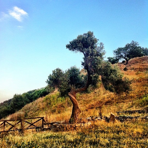 
Αρχαία Άκανθα / Ancient Akantha
 in Chalkidikí