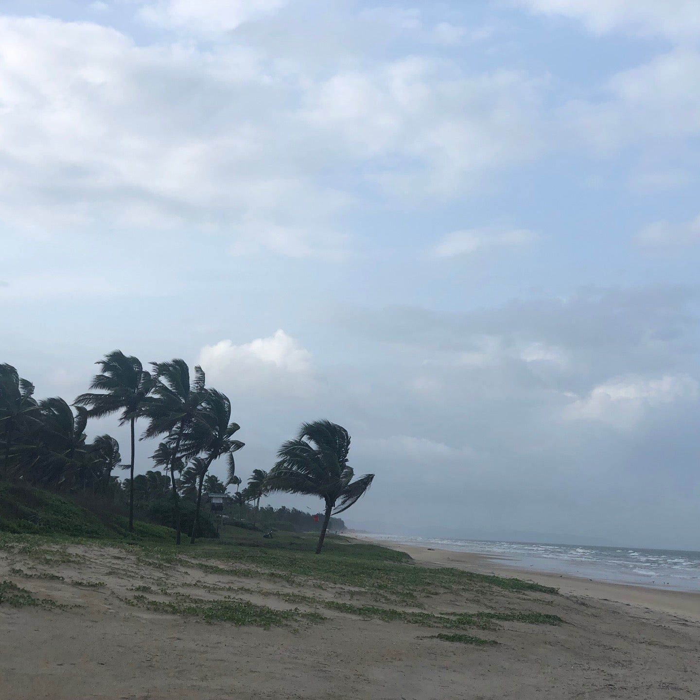 
Arossim Beach
 in South Goa