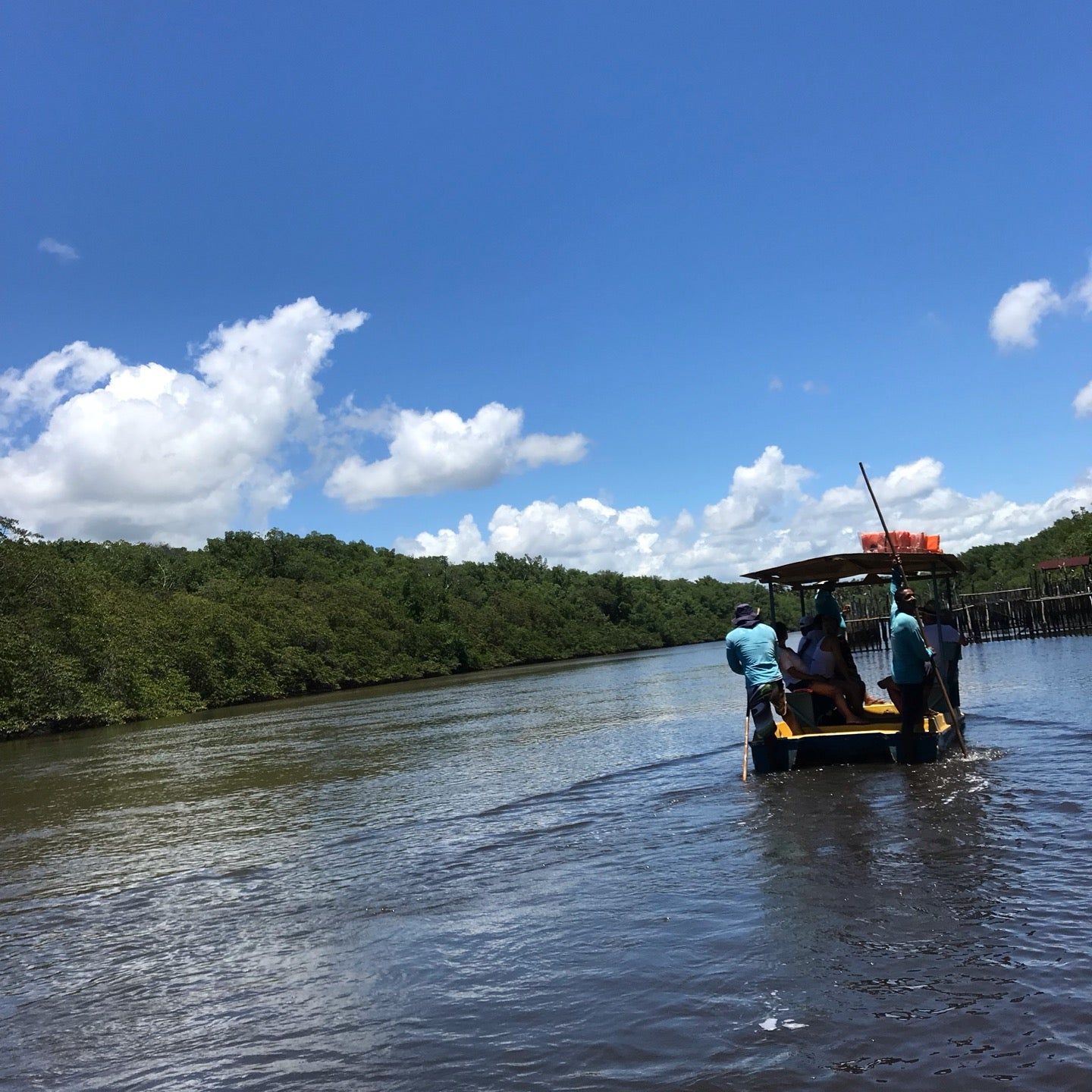 
Associação Peixe-Boi
 in Alagoas