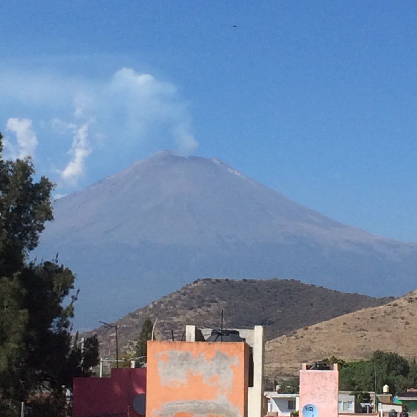 
Atlixco de las Flores
 in Atlixco