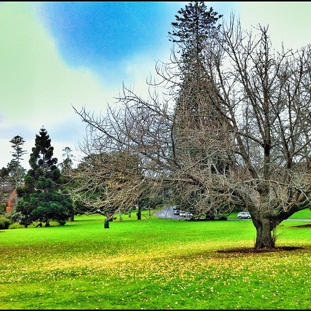 
Auckland Domain
 in North Island