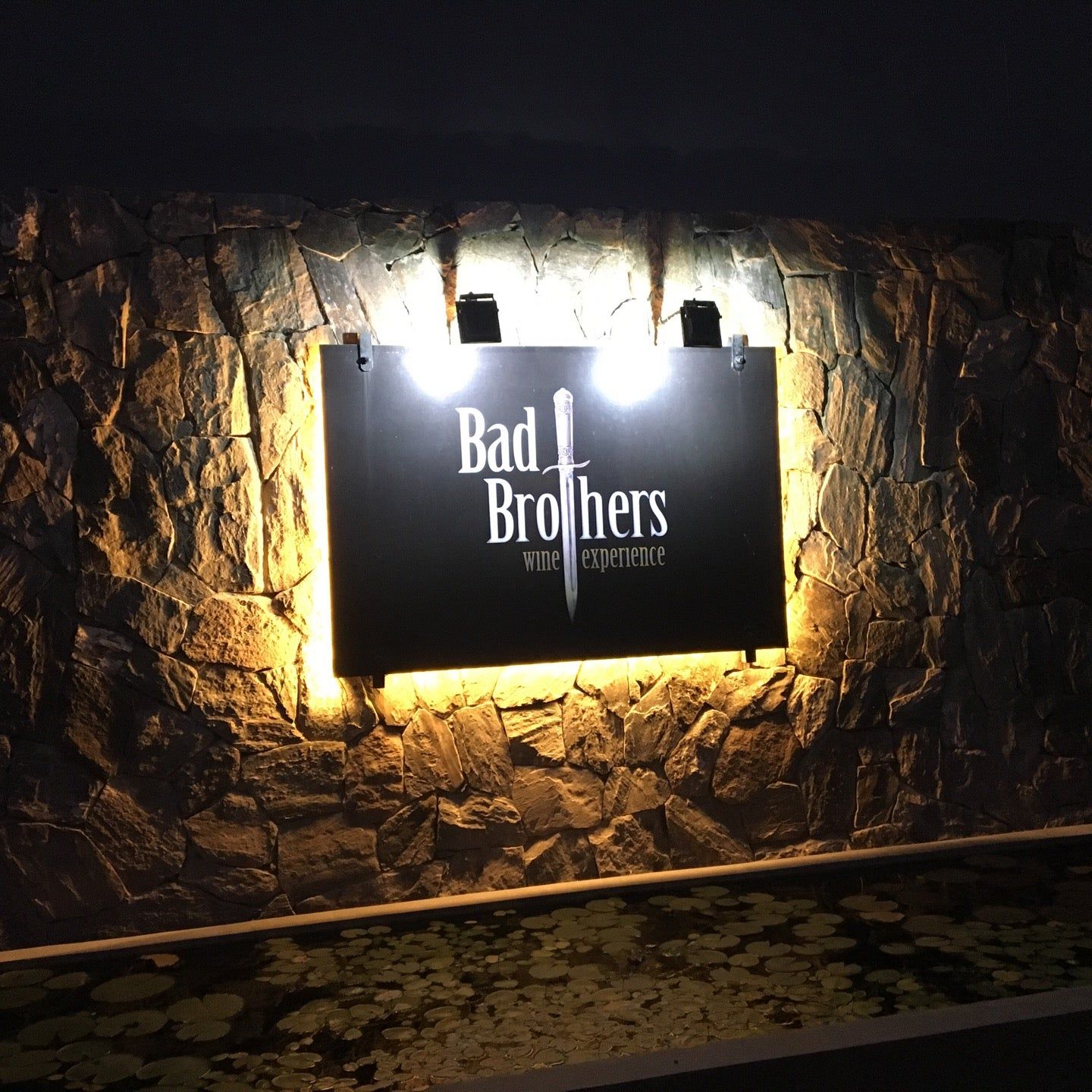 
Bad Brothers Wine Experience
 in Central North-West Argentina