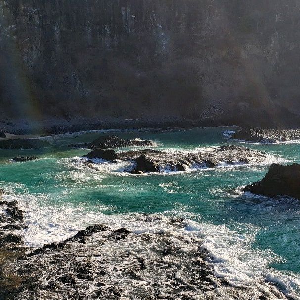 
Baia dos Porcos (Baía dos Porcos)
 in Pernambuco