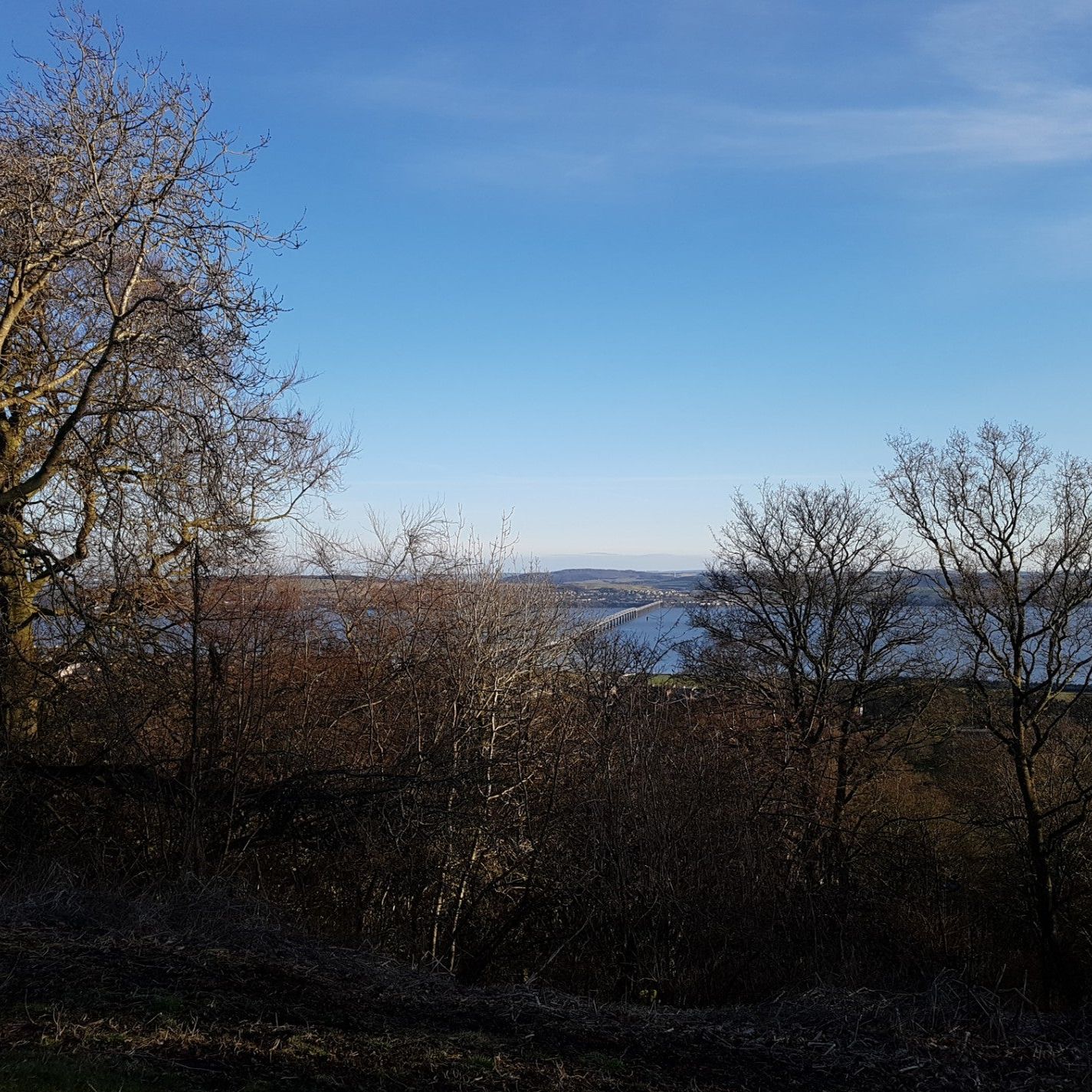 
Balgay Park
 in Tayside