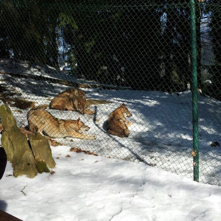 
Bayerwald-Tierpark
 in Grosser Arber