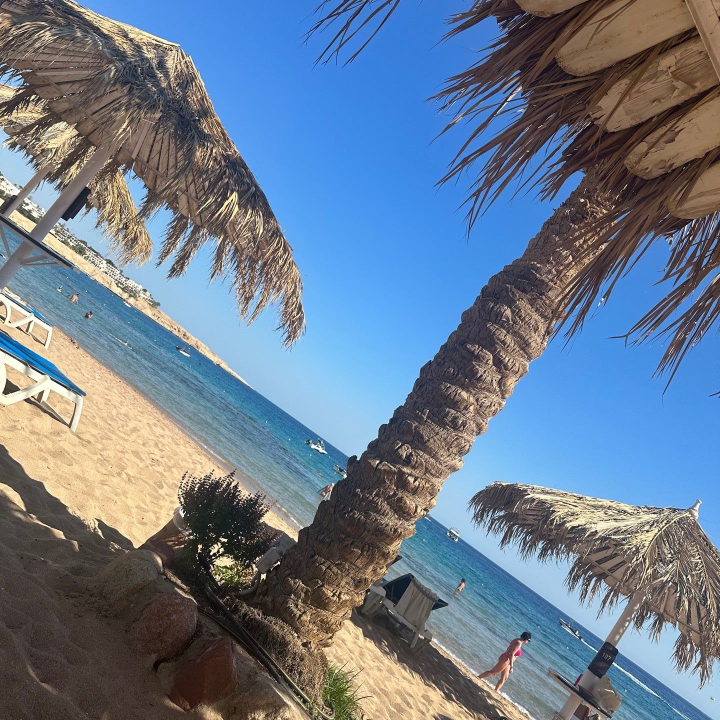 
Beach at Hilton Fayrouz Resort
 in Sharm El Sheikh