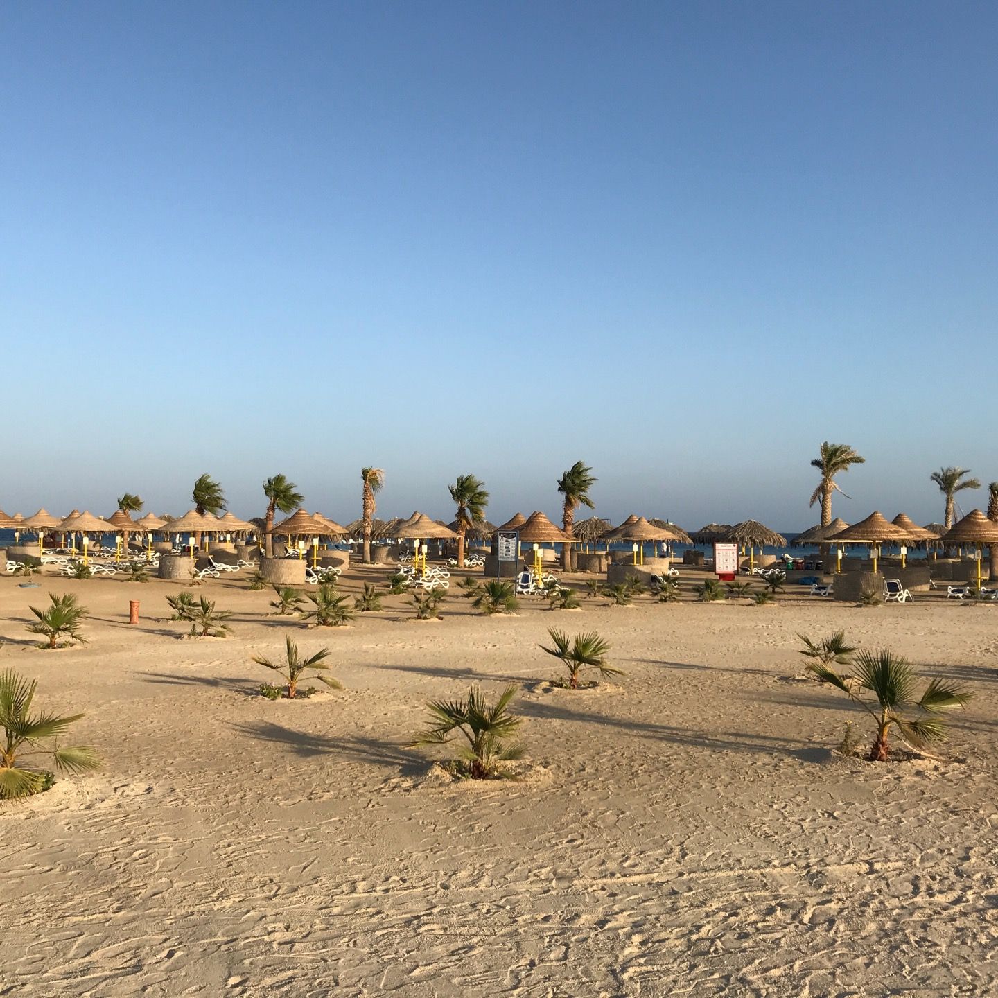 
Beach at Hilton Marsa Alam Nubian Resort
 in Abu Dabab