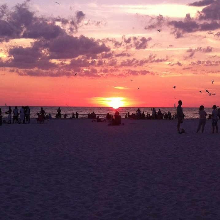 
Beach Walk
 in Clearwater Beach