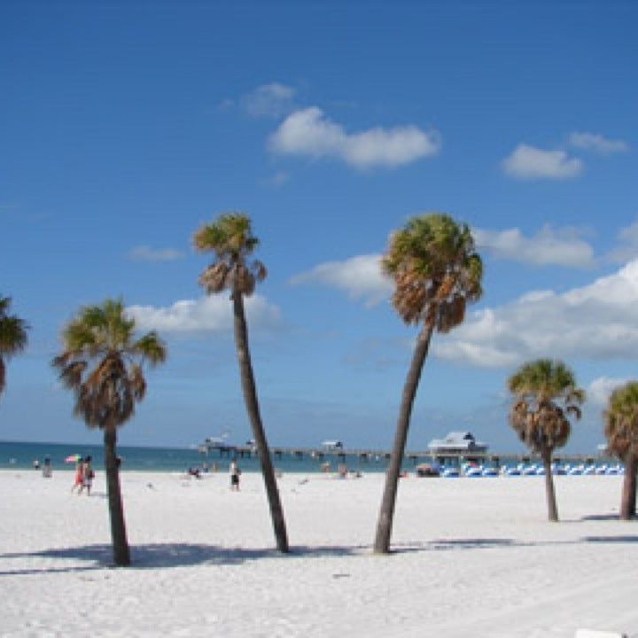 
Beachside
 in Clearwater Beach