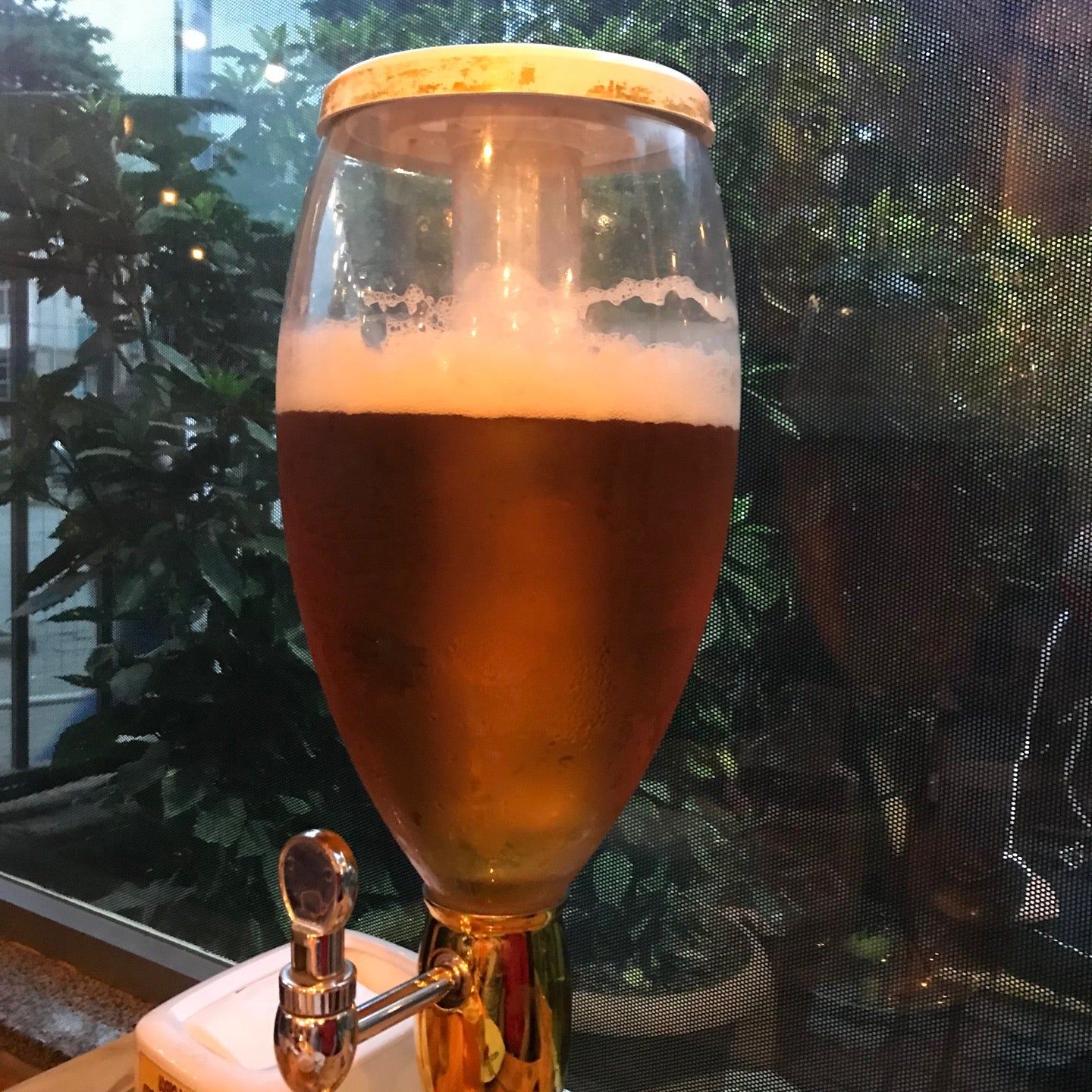 
Beer Batumuri
 in Ajara