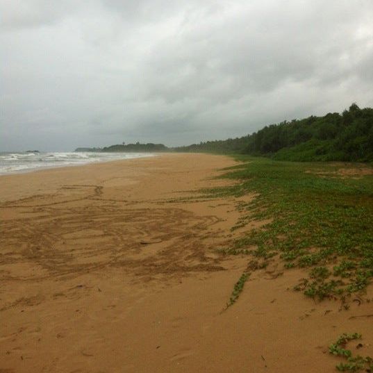 
Bentota Beach
 in Bentota