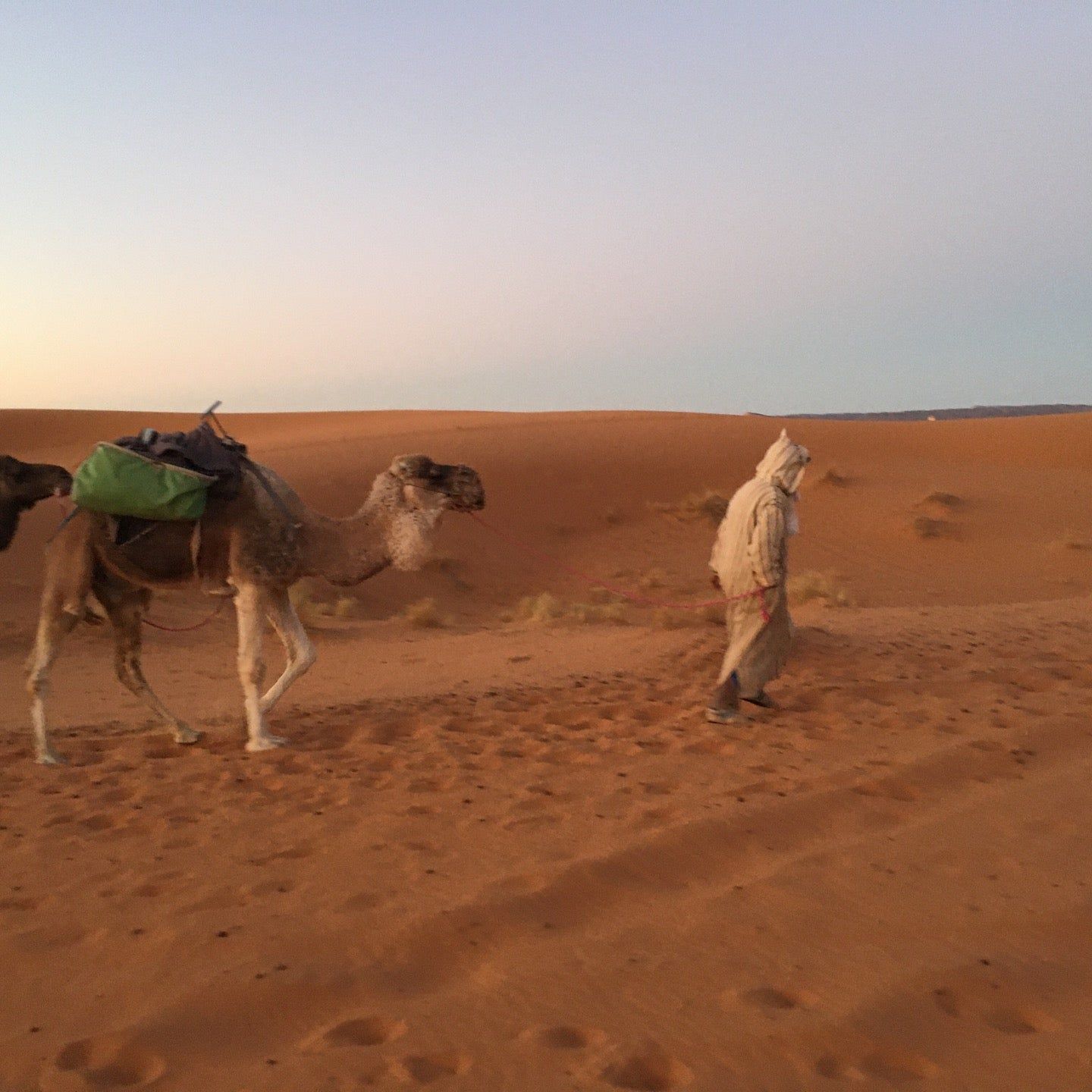 
Berbere Nomads
 in Errachidia