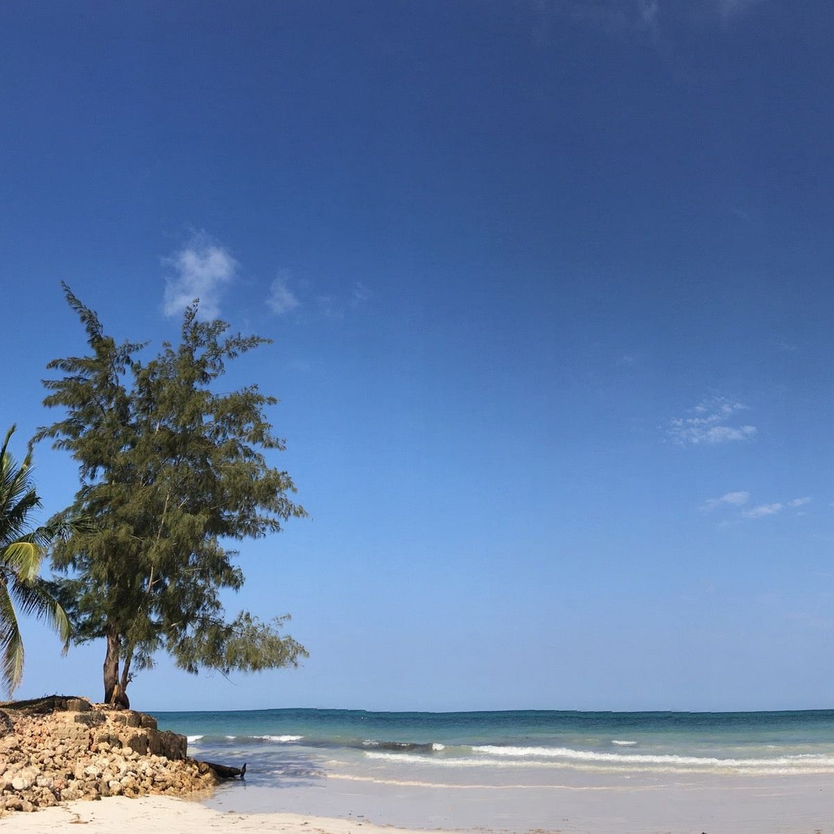 
Bidi Badu Beach Restaurant
 in Diani Beach