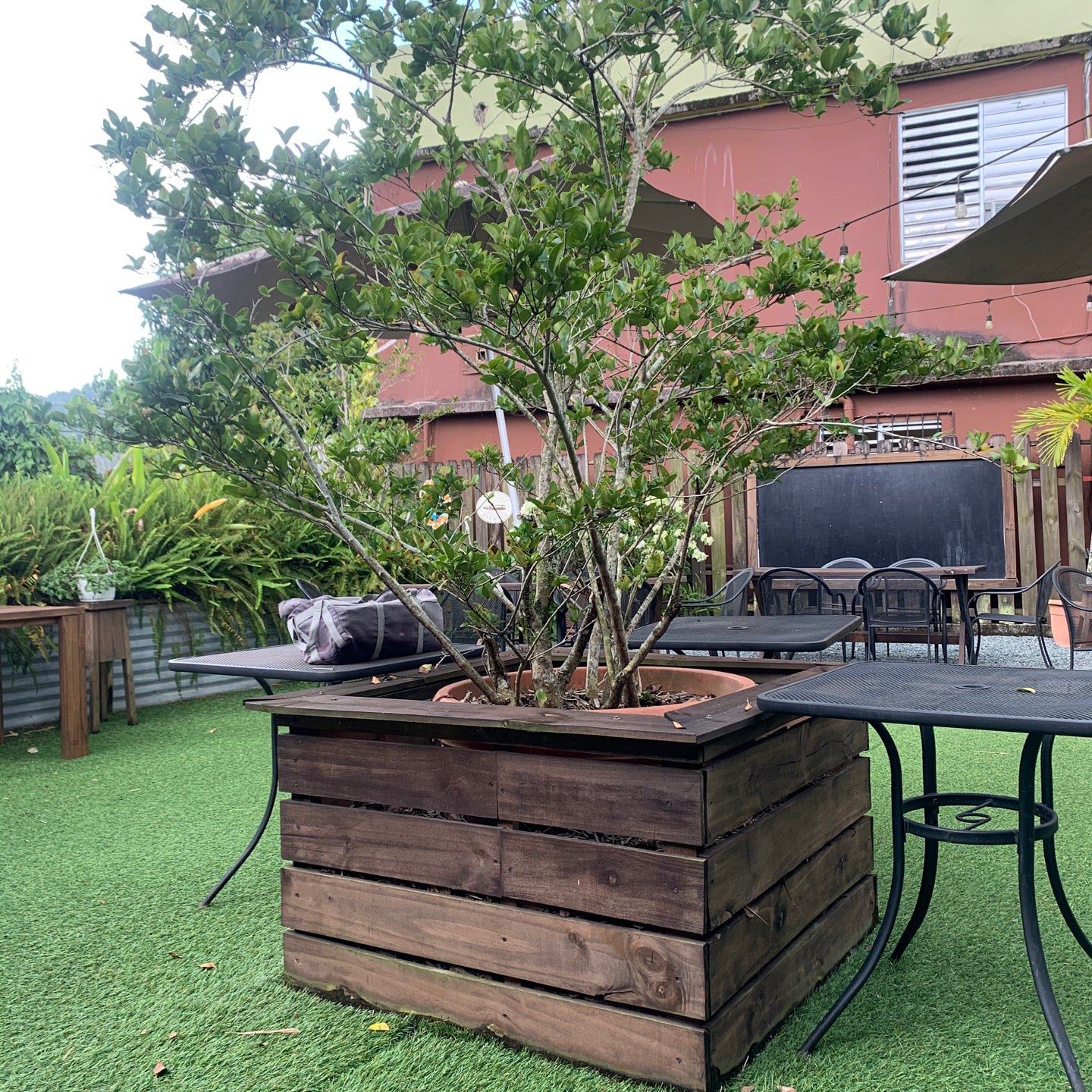 
Bier Garden
 in Puerto Rico