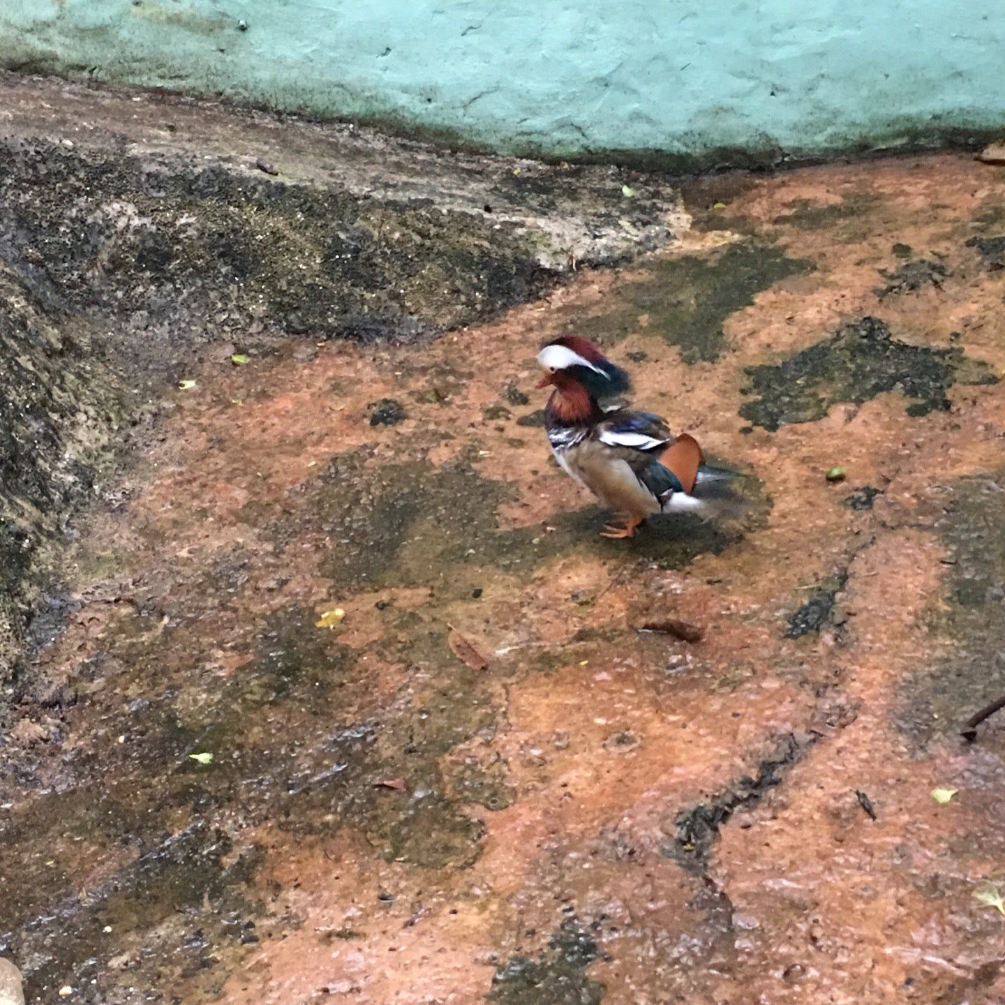 
Biocentro Iguazú
 in Puerto Iguazú