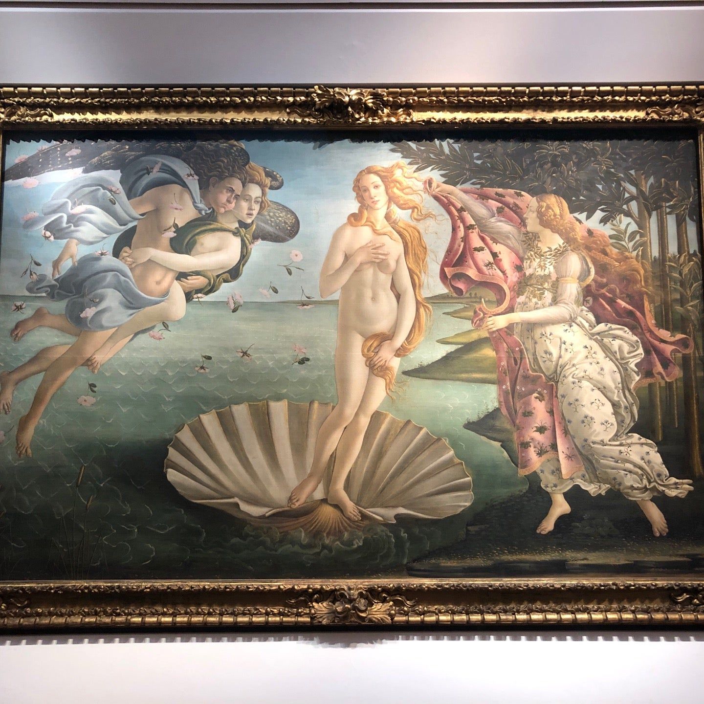 
Birth of Venus - Botticelli (Nascita di Venere - Botticelli)
 in Tuscany