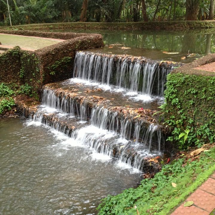 
Bosque dos Buritis
 in Goiás