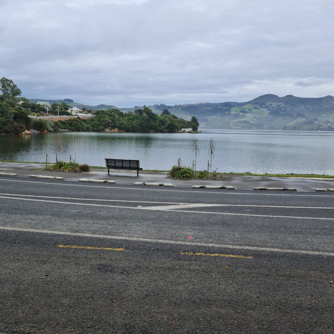 
Broad Bay
 in South Island