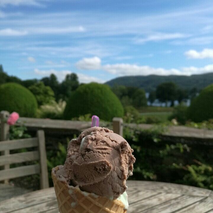 
Brockhole Cafe
 in Ambleside