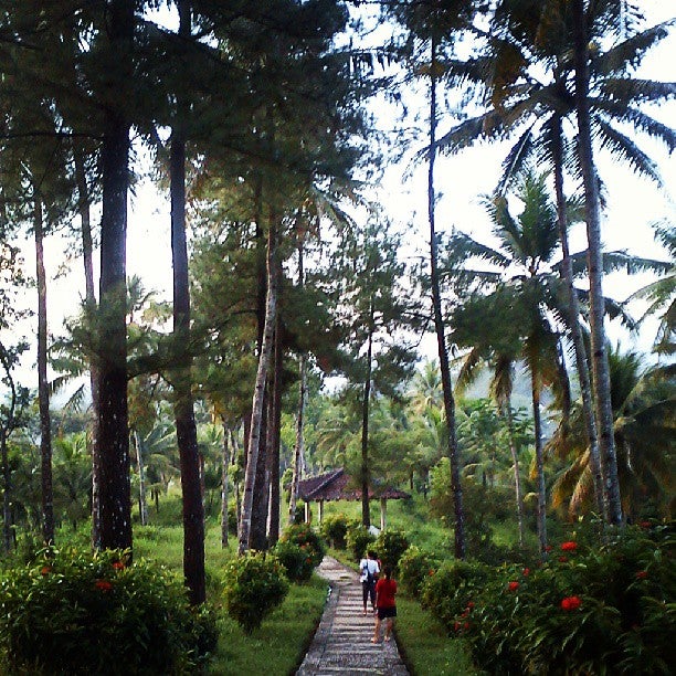 
Bukit Dagi
 in Central Java