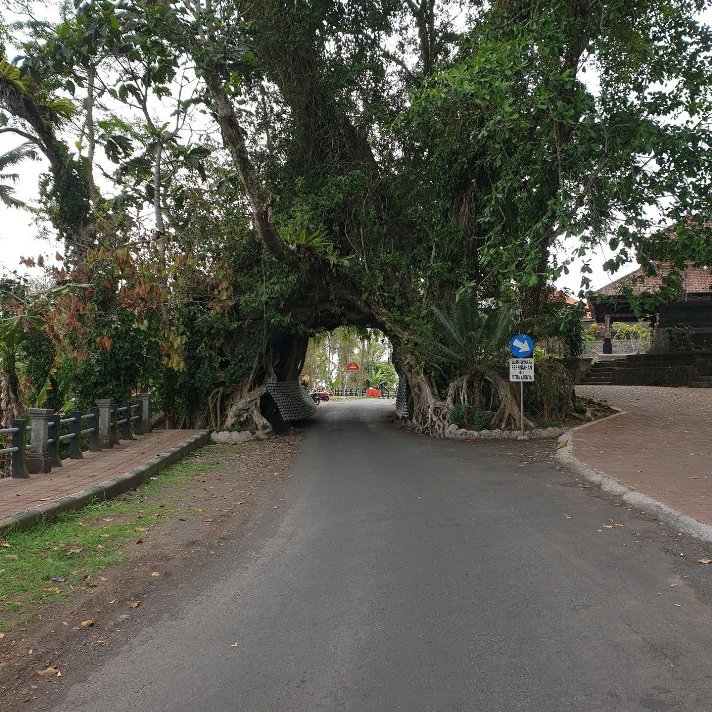 
Bunut Bolong
 in Pulukan