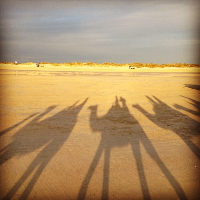 
Cable Beach
 in Broome