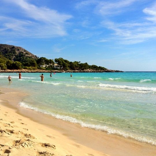 
Cala Agulla
 in Cala Ratjada