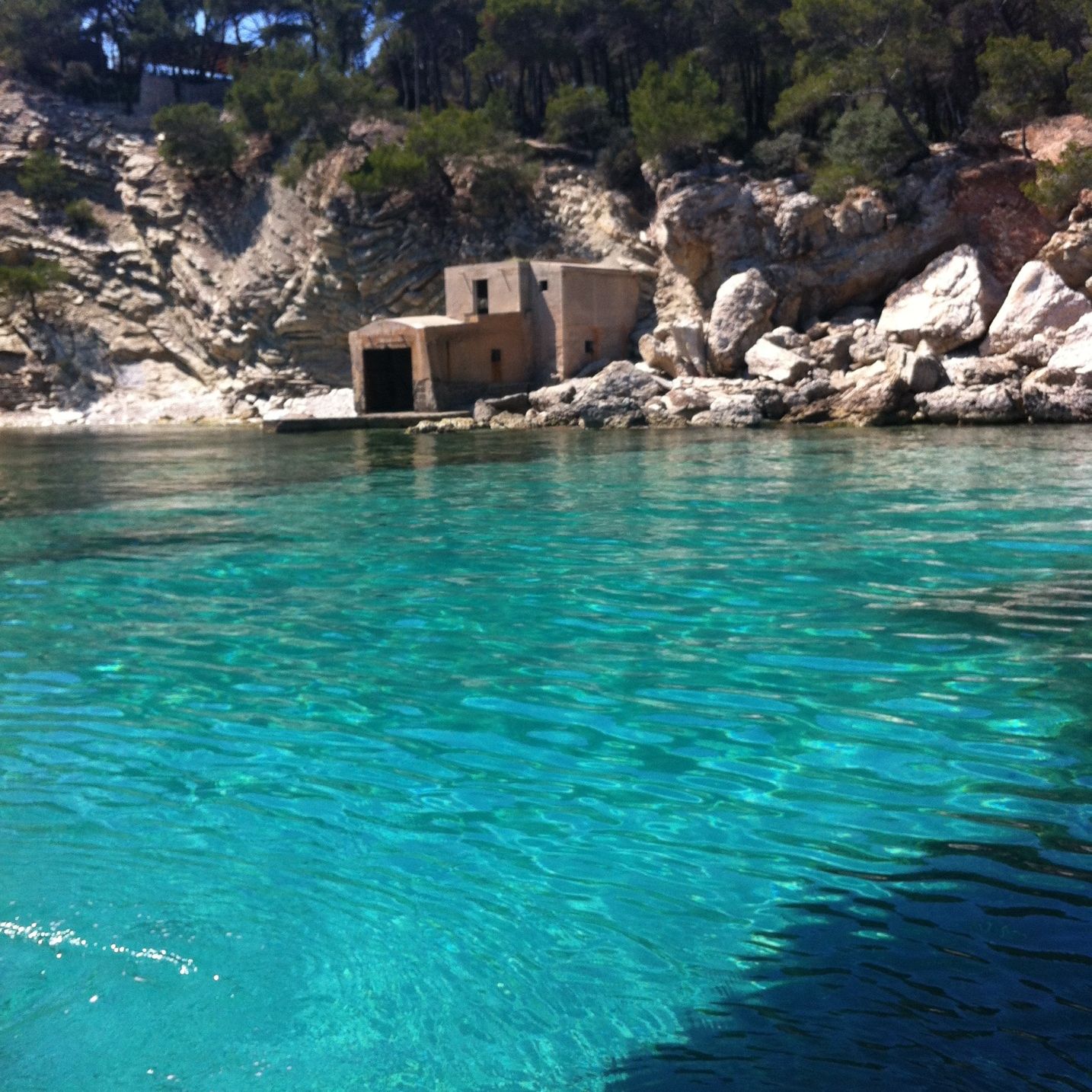 
Cala Fornells
 in Paguera