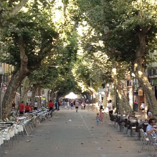 
Calle del Marqués de Campo
 in Denia