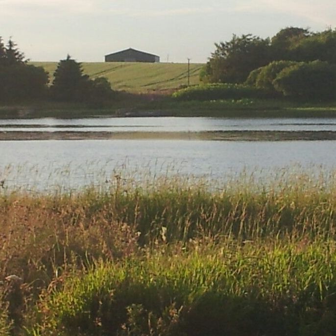 
Cameron Reservoir
 in St Andrews