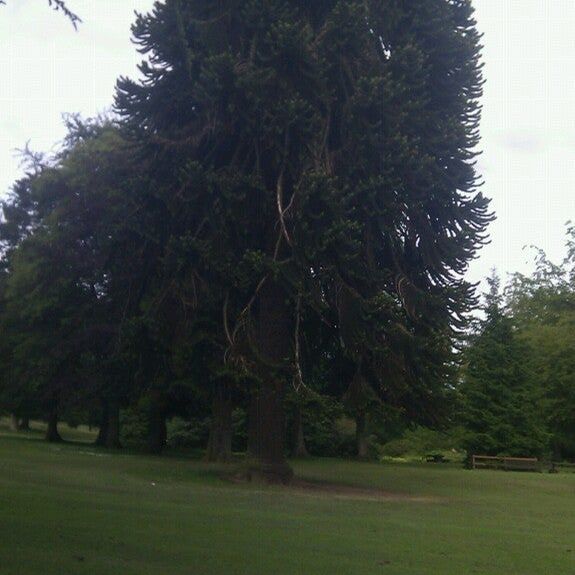 
Camperdown Park
 in Tayside