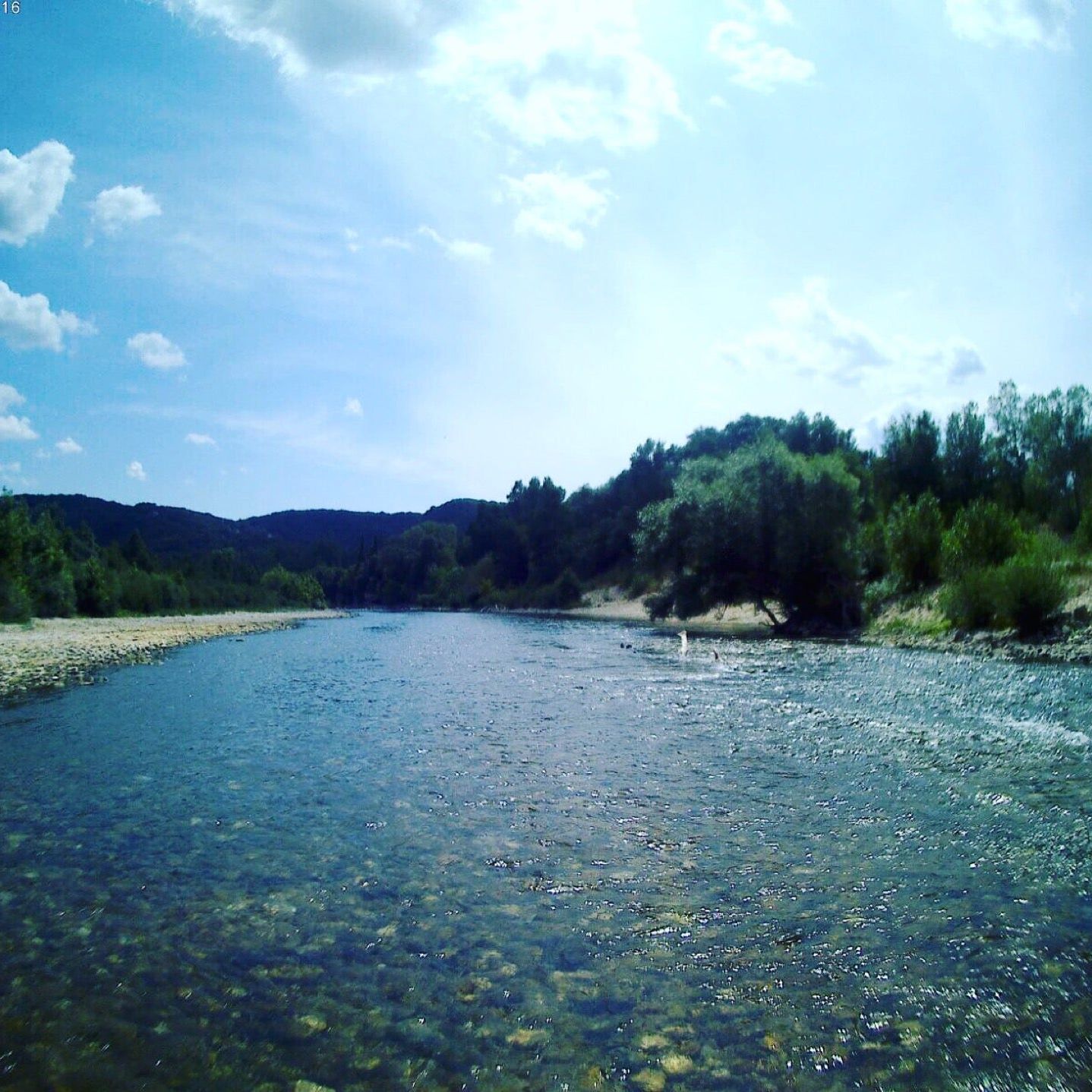 
Camping Les Gorges Du Gardon
 in Gard