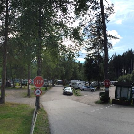 
Camping Weiherhof
 in Hinterzarten