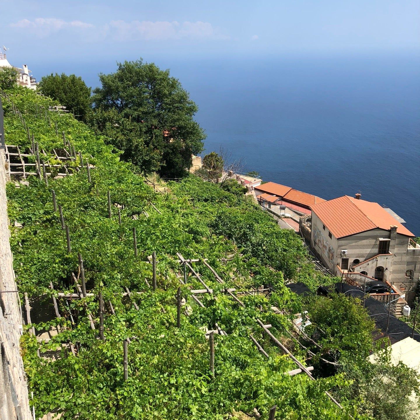 
Cantine Marisa Cuomo
 in Sorrentine Peninsula