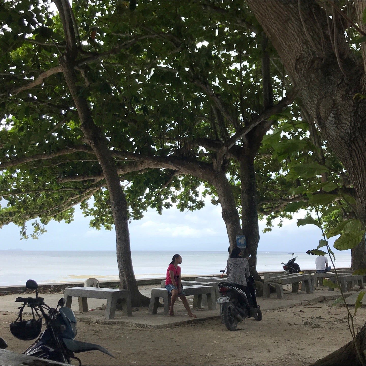 
Capilay's Spring Park
 in Visayas