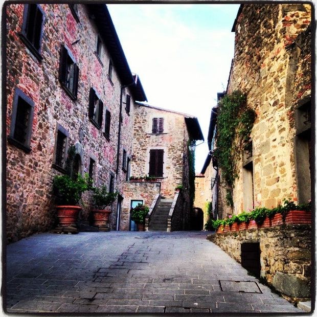 
Castello di Volpaia
 in Siena Area