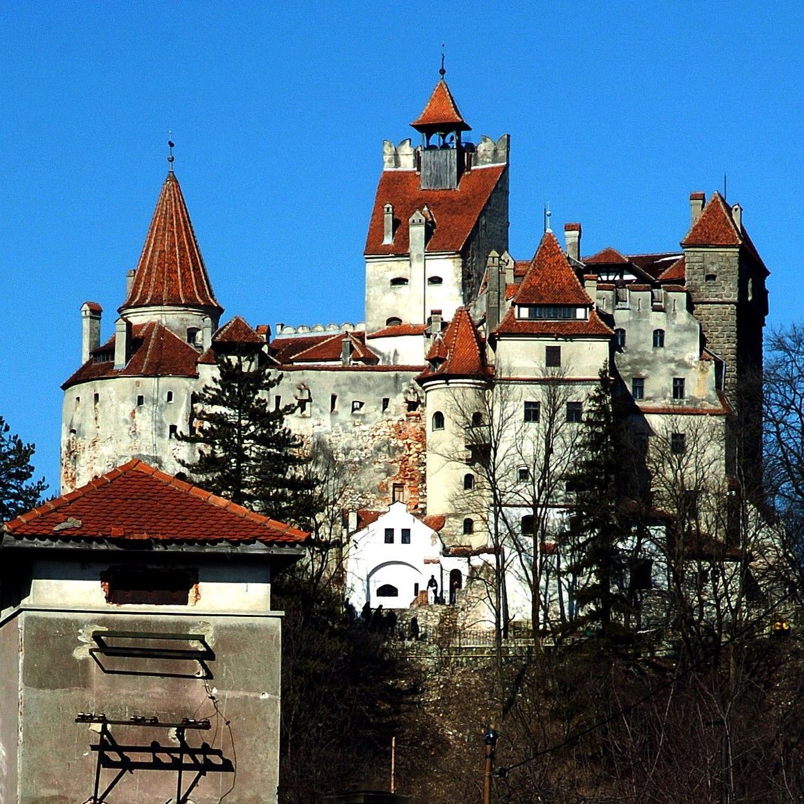 
Castelul Bran
 in Carpathians