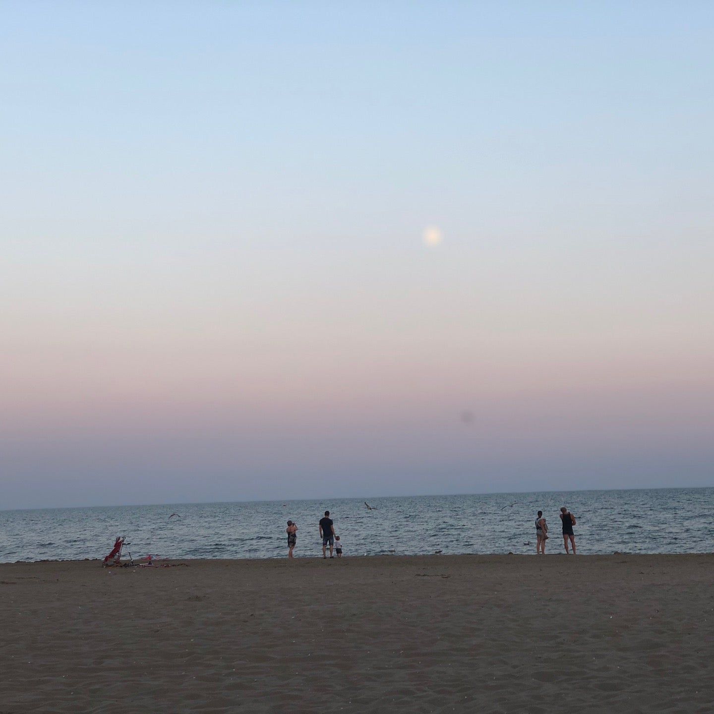 
Cavallino Beach
 in Riviera Ovest