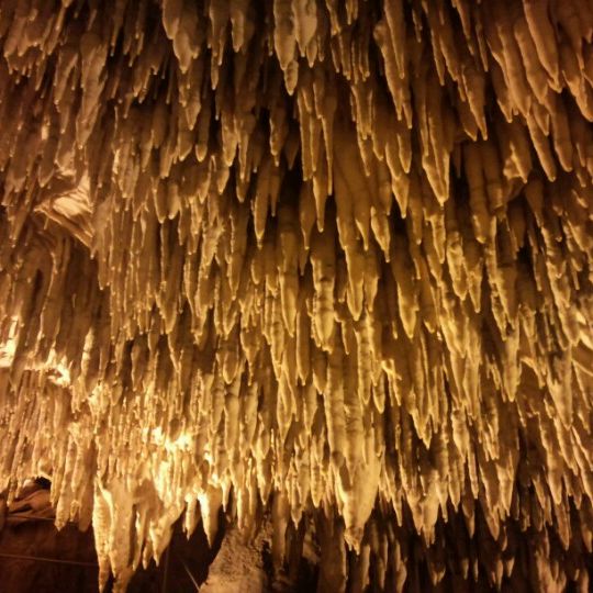 
Cave of the Dragon (Σπήλαιο Δράκου Καστοριάς)
 in Kastoria