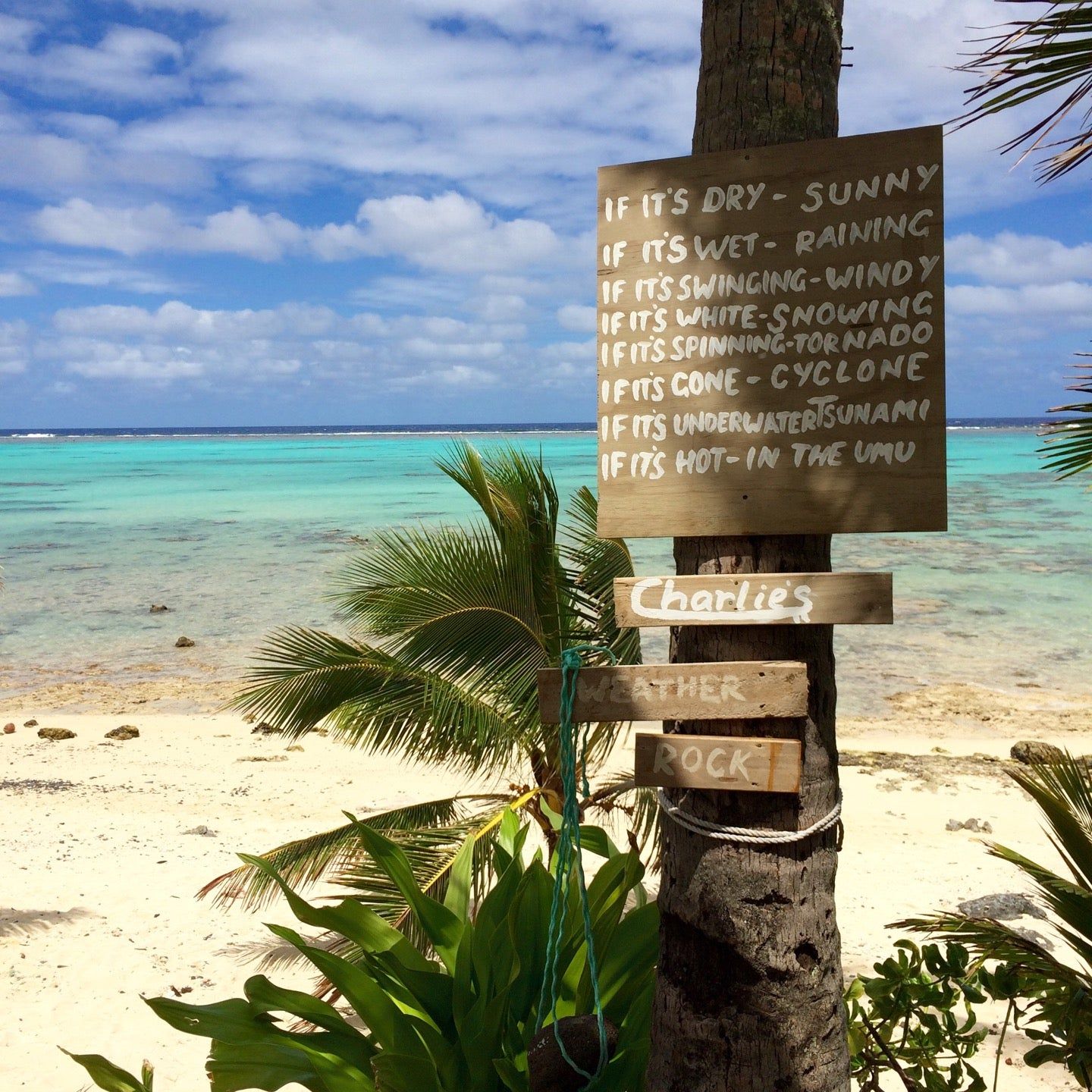 
Charlie's
 in Rarotonga